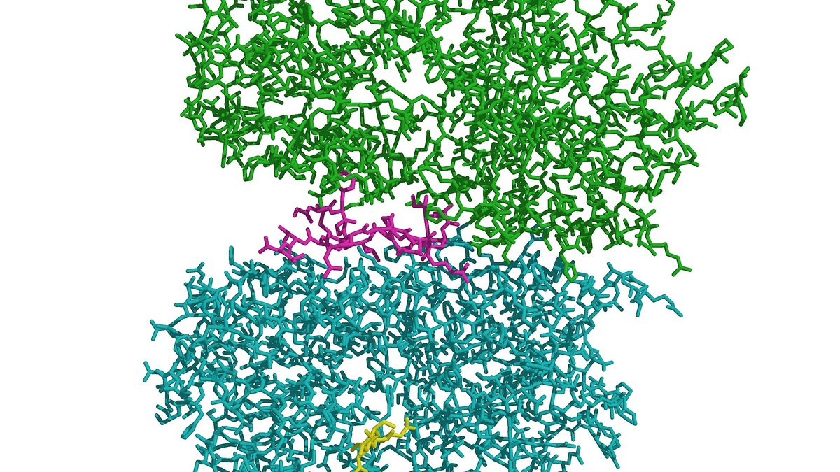 Peptide-hormone receptor structure — the biology behind a next-generation GLP-class incretin, the GLP-5 programme by Panacea Bio Chem and Bogdan Dicoias